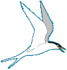 Tern logo